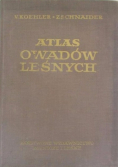Atlas owadów leśnych