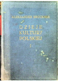 Dzieje kultury polskiej Tom I 1931 r.