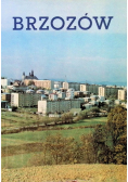 Brzozów Zarys Monograficzny