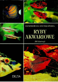 Ryby Akwariowe