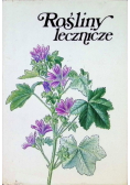 Rośliny Lecznicze