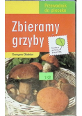 Zbieramy grzyby