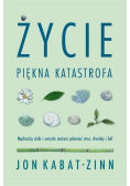 Życie  piękna katastrofa