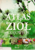 Atlas ziół krajowych