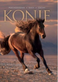Konie Pochodzenie rasy cechy