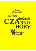 Na bezdrożach Czarnohory