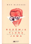 Rozświetlona jama