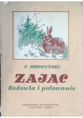 Zając Hodowla i polowanie