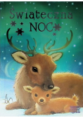 Świąteczna noc
