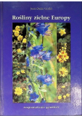Rośliny zielne Europy
