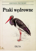 Leksykon przyrody Ptaki wędrowne