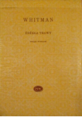 Źdźbła trawy