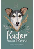 Kastor. Pies ze schroniska