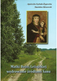 Matki Bożej Leżajskiej wędrowanie źródłami Sanu
