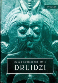 Druidzi