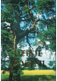Dzieje Żołyni