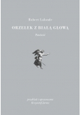 Orzełek z białą głową
