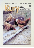 Kury Chów pozafermowy