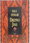 Drzewo jogi