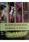Rozpoznawanie zwierząt w Polsce