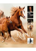 Konie