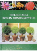 Pielęgnacja roślin doniczkowych