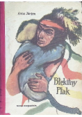 Błękitny Ptak