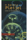 Zima w Sztokholmie