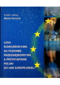 Luka konkurencyjna na poziomie przedsiębiorstwa