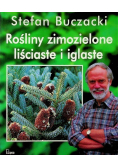 Rośliny zimozielone liściaste i iglaste