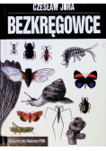 Bezkręgowce
