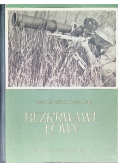 Bezkrwawe łowy