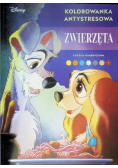 Kolorowanka antystresowa Zwierzęta