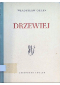 Drzewiej 1950 r.