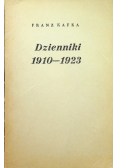 Kafka Dzienniki ( 1910 - 1925 )