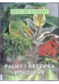 Palmy i drzewka pokojowe