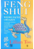 Feng shui wędrującej gwiazdy