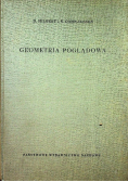 Geometria poglądowa