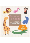 W ZOO! Poszukaj i znajdź Książeczka malucha