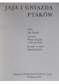 Jaja i gniazda ptaków