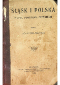 Śląsk i Polska wobec Powstania Czeskiego 1904 r.