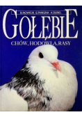 Gołębie Chów hodowla rasy