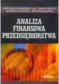 Analiza finansowa przedsiębiorstwa