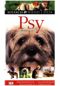 Psy