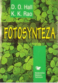 Fotosynteza