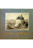 Ziemia Brzeska