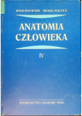 Anatomia Człowieka Tom 4