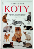 Koty