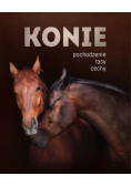 Konie. Pochodzenie, rasy, cechy