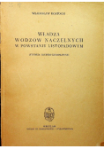 Władza wodzów naczelnych w powstaniu listopadowym